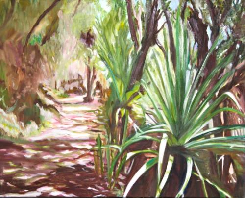Noosa National Park