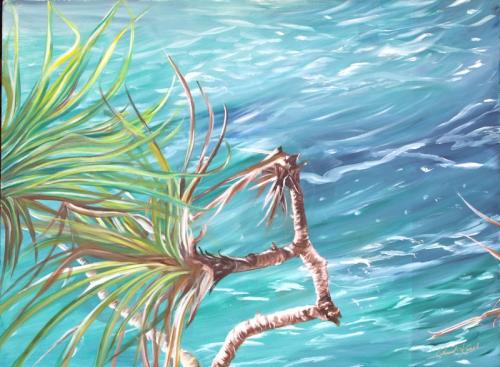 Noosa National Park